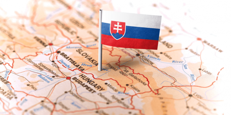 ৭০০০ হাজারেরও বেশি ইমিগ্রান্ট অভিবাসিত হয়েছেন স্লোভাকিয়াতে ২০১৯ সালে ।