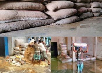 সিলেটে বন্যায় ধান-চালের ব্যাপক ক্ষতি
