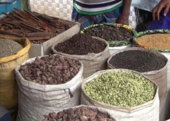 হিলি বাজারে কমেছে মসলার দাম