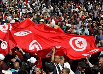সংবিধানের উপর গণভোট, তিউনিসিয়ায় বিক্ষোভ