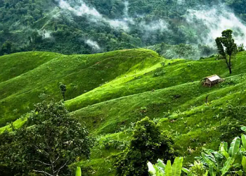 স্টেডিয়ামে আর্জেন্টিনার খেলা দেখলেন আমির