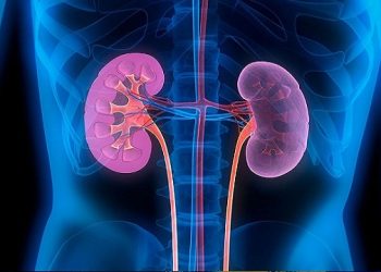 দেশে প্রথমবার মৃত মানুষের কিডনি অন্যের দেহে প্রতিস্থাপন