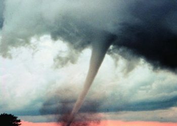 ঘূর্ণিঝড় গ্যাব্রিয়েল: নিউজিল্যান্ডে বিমান চলাচল বন্ধ, বন্যার আশঙ্কা