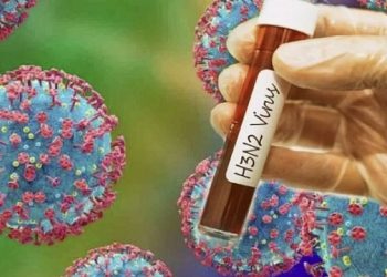 ভারতে প্রথমবারের মতো এইচ৩এন২ ভাইরাসে ২ জনের মৃত্যু