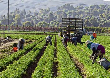 বাংলাদেশসহ ৩৩ দেশ থেকে শ্রমিক নেবে ইতালি