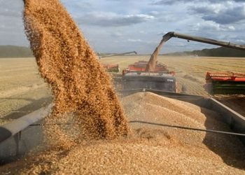 শস্য রপ্তানি চুক্তির মেয়াদ ৬০ দিন বাড়াতে রাজি রাশিয়া