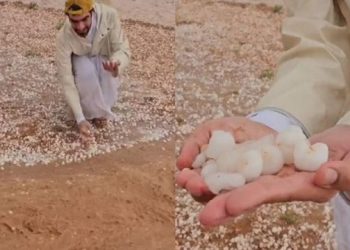 সৌদি আরবে হঠাৎ বিরল শিলাবৃষ্টি!