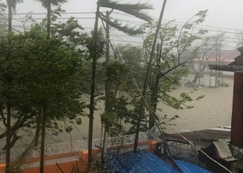 মোখার আঘাতে টেলিকম টাওয়ার ভেঙ্গেছে মিয়ানমারে