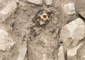 পেরুতে ৩০০০ বছরের পুরনো মমির সন্ধান