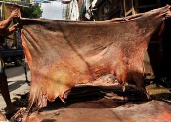 চামড়ার নতুন দাম নির্ধারণ