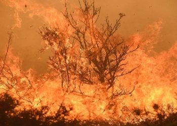 স্প্যানিশ দ্বীপের দাবানল নিয়ন্ত্রণের বাইরে, স্থানীয়দের সরিয়ে নেওয়া হয়েছে