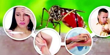 বিশ্বের অর্ধেক মানুষ ডেঙ্গু ঝুঁকিতে: বিশ্ব স্বাস্থ্য সংস্থা